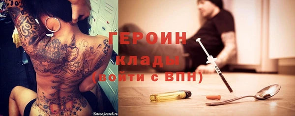 твердый Гатчина