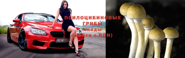 дмт Россошь