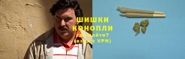 индика Гвардейск