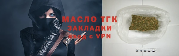 твердый Гатчина