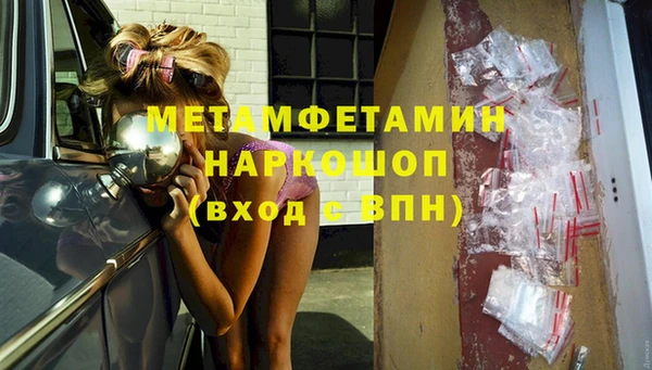 твердый Гатчина