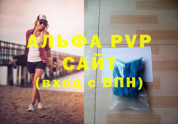 индика Ростов