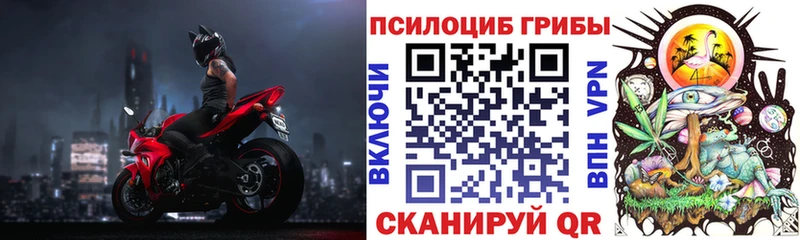 Галлюциногенные грибы GOLDEN TEACHER купить Барыш